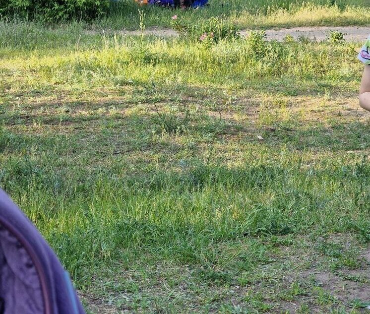 В Твери странный мужчина умер в роще на глазах у прохожих