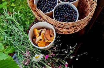 В Тверской области поспела черника, а грибов стало больше черника