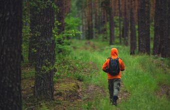 МТС и «ЛизаАлерт» запустили бесплатный сервис для поиска пропавших людей