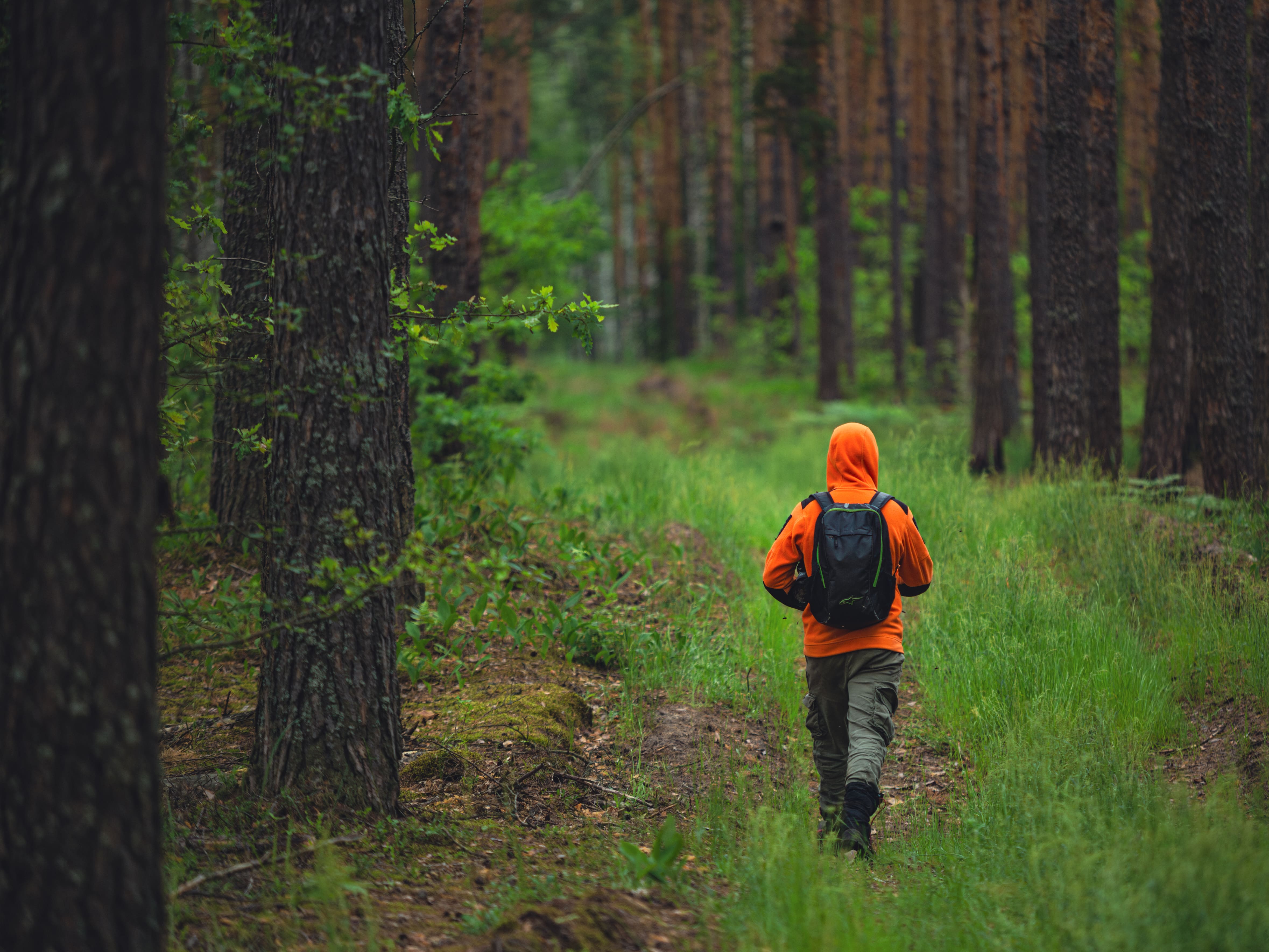 МТС и «ЛизаАлерт» запустили бесплатный сервис для поиска пропавших людей