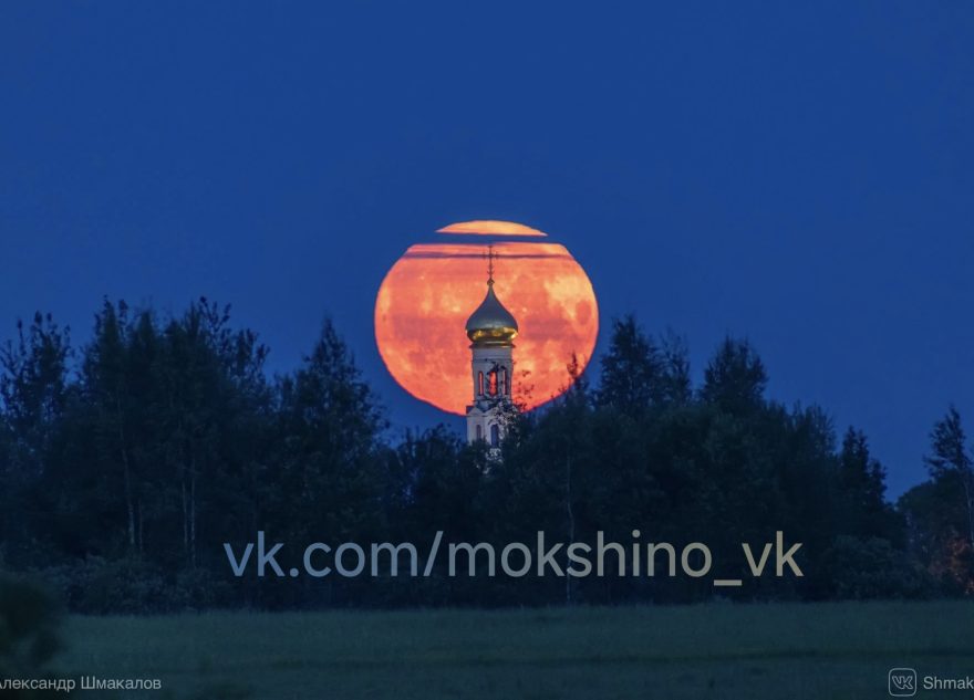 Редкую Клубничную Луну сфотографировали жители Тверской области клубничная луна