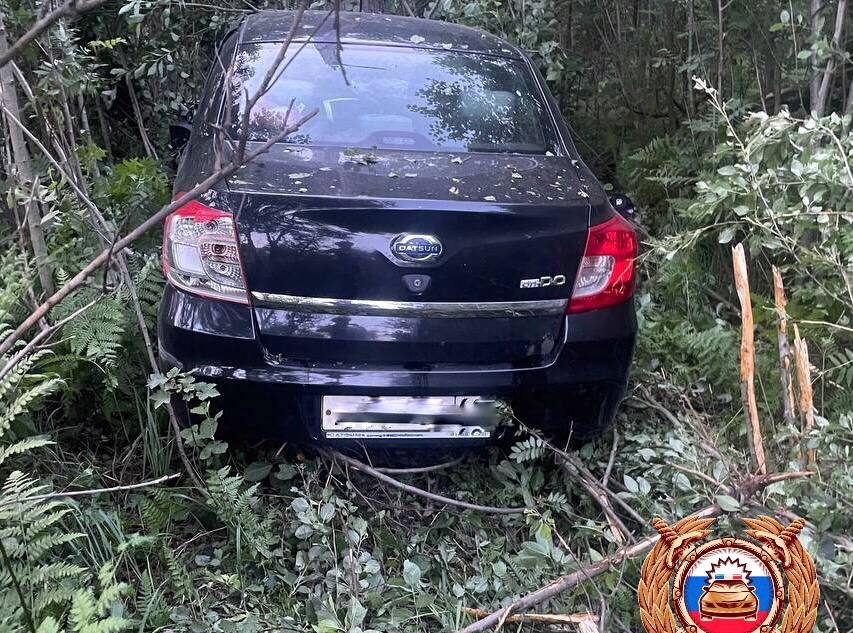 В Тверской области легковушка врезалась в дерево в кювете
