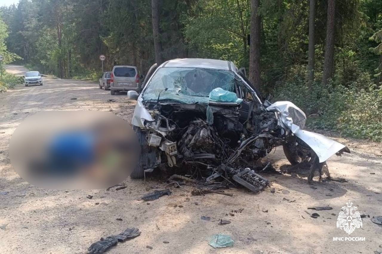 Женщина и два ребёнка пострадали в ДТП в Тверской области