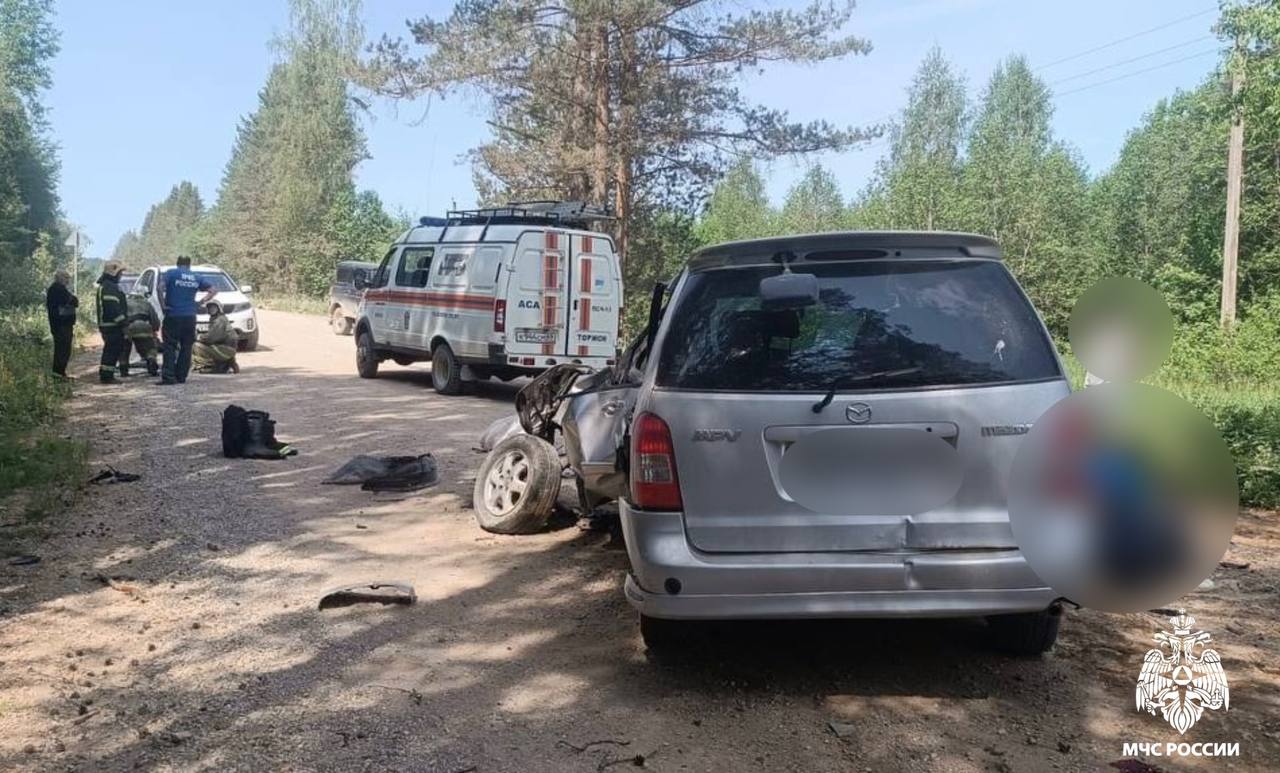 Женщина и два ребёнка пострадали в ДТП в Тверской области