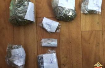 В Тверской области задержали мужчину, который выращивал и хранил коноплю коноплю