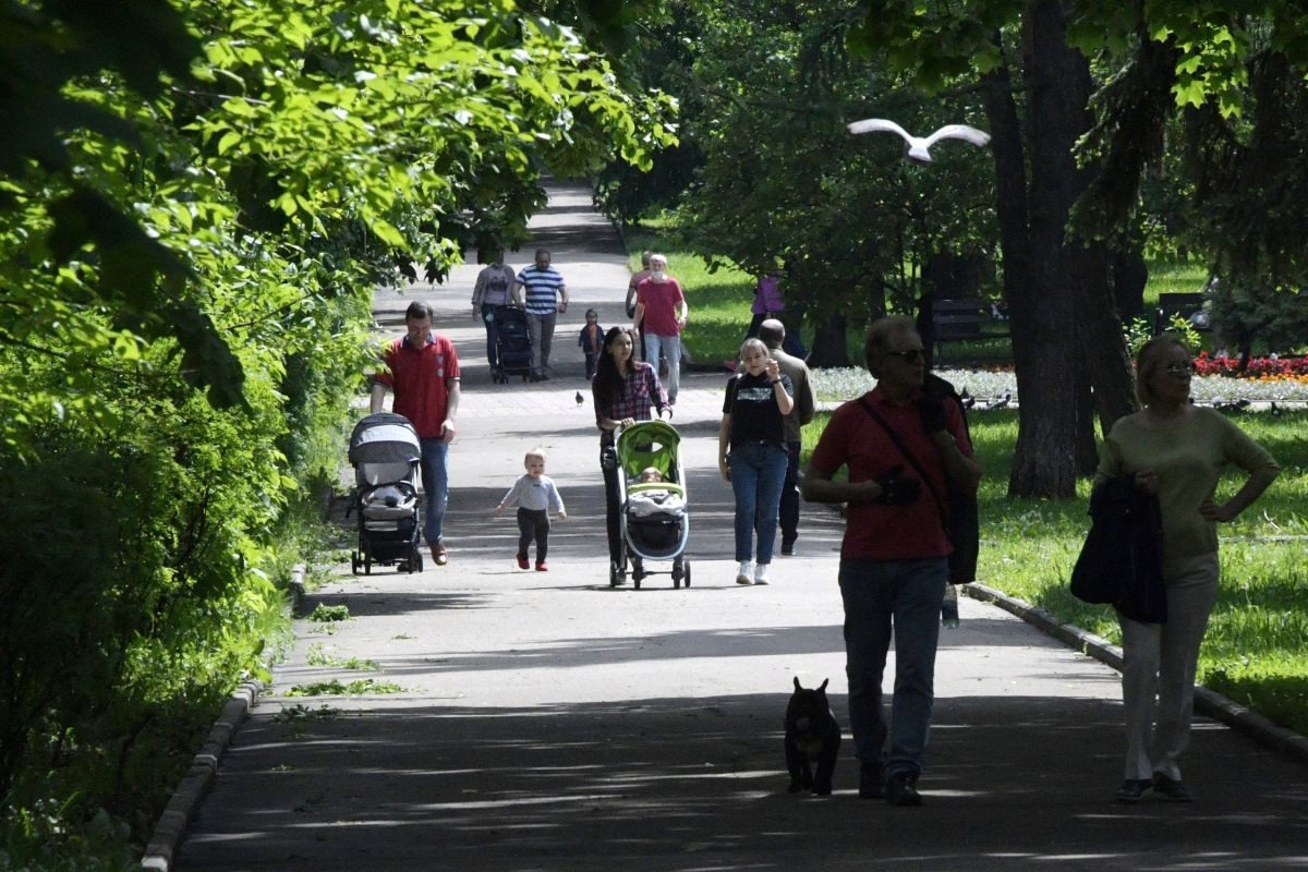 Владимир Якушев: Более 16,5 миллионов жителей страны отдали голоса в пользу объектов благоустройства по программе «Единой России» и Минстроя