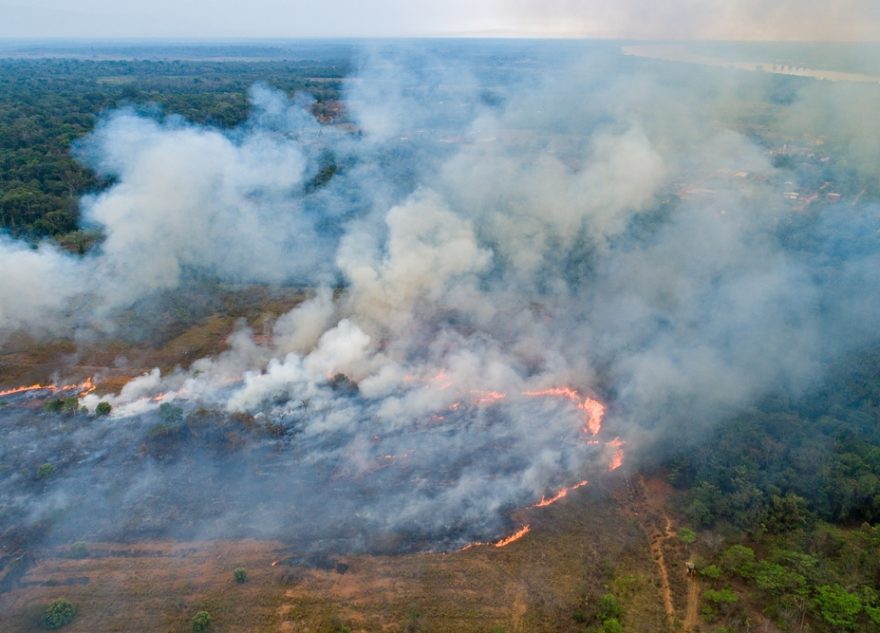 МТС поможет предотвратить лесные пожары в Тверской области