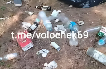 Чтобы отдохнуть, жителям Тверской области нужно сначала убраться мусор