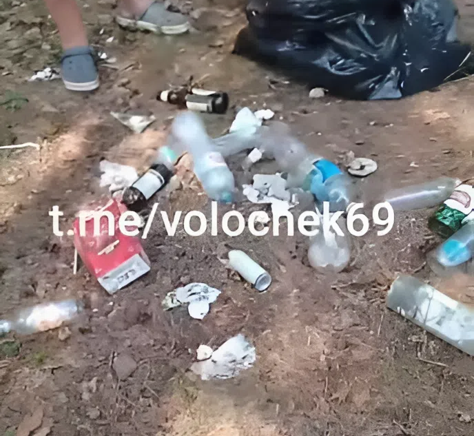 Чтобы отдохнуть, жителям Тверской области нужно сначала убраться мусор