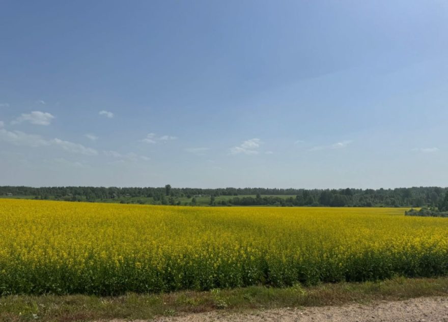 В Тверской области активно идут весенние полевые работы