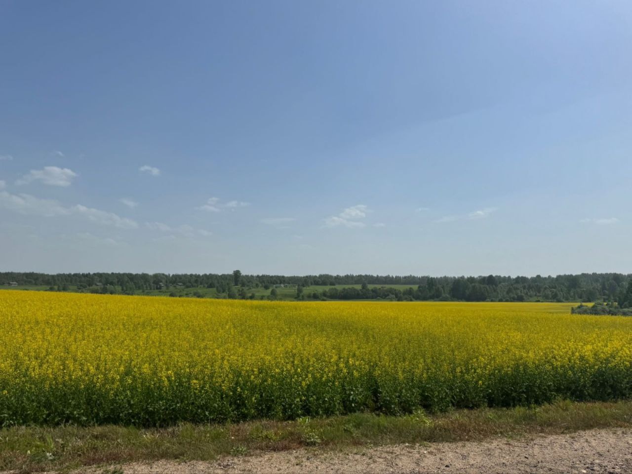 В Тверской области активно идут весенние полевые работы