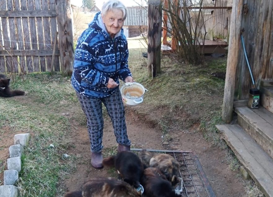 78-летняя пенсионерка из Тверской области спасает выброшенных на улицу животных животные