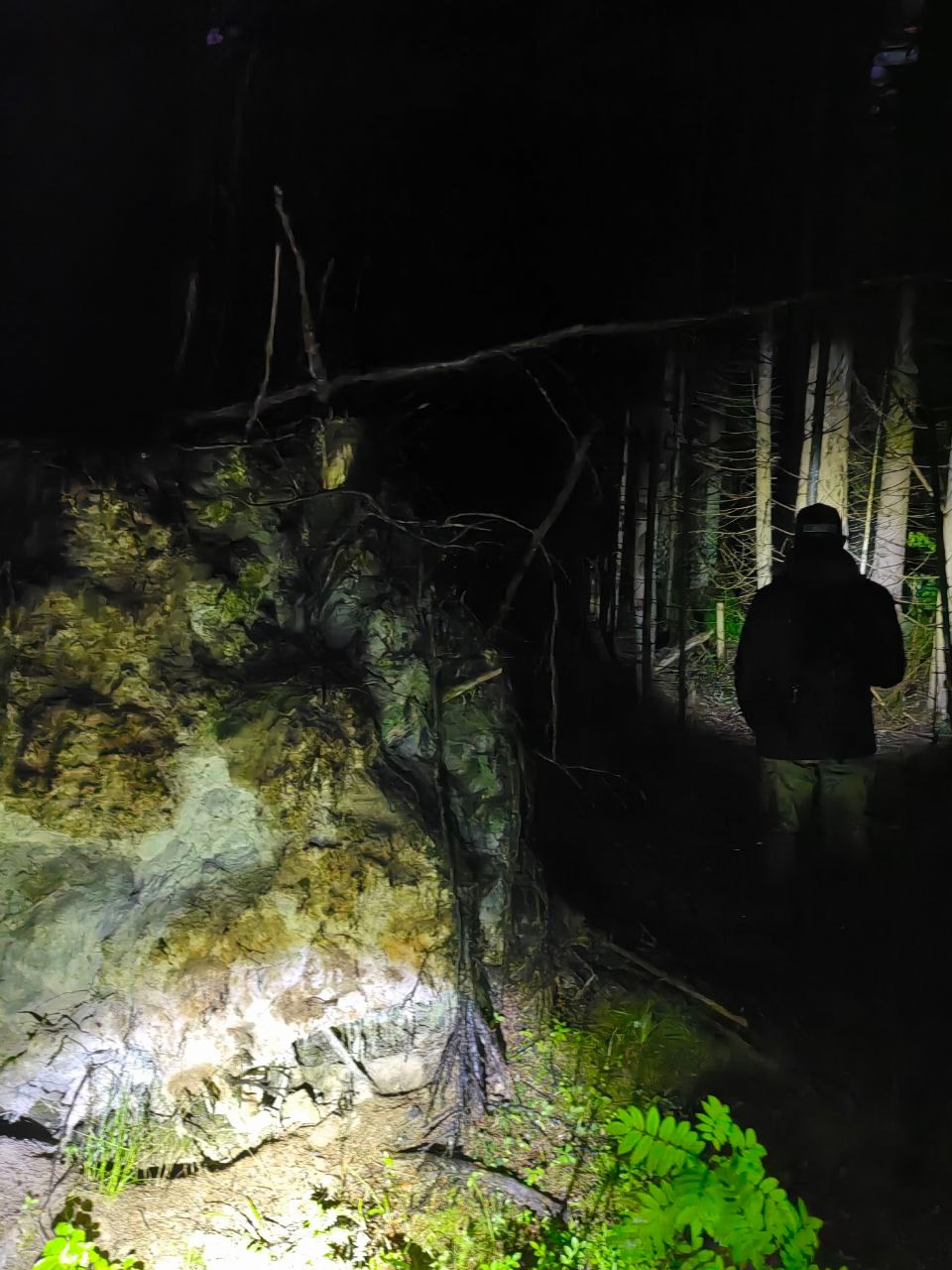 В Тверской области продолжаются поиски дедушки, пропавшего три дня назад