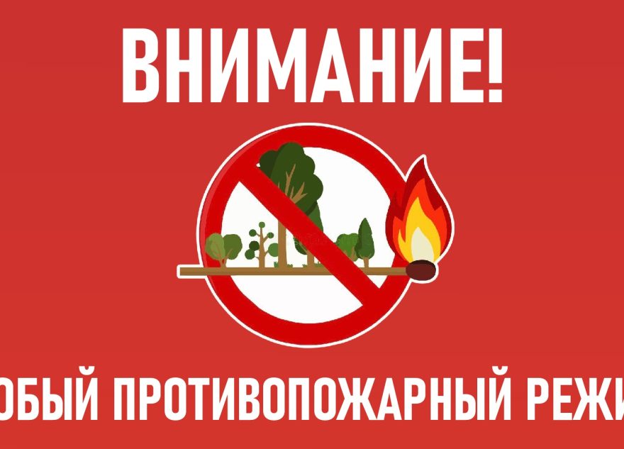 В Тверской области вводится особый противопожарный режим