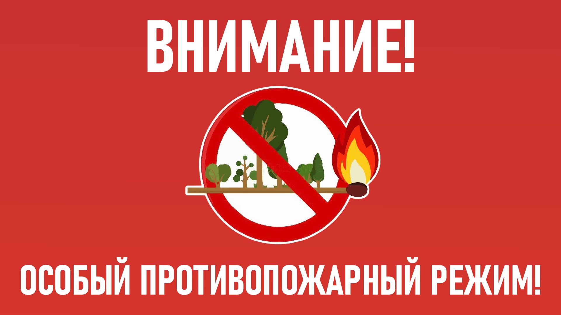 В Тверской области вводится особый противопожарный режим