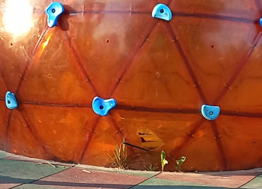 В Тверской области три школьницы поразили местных жителей своим поступком на детской площадке