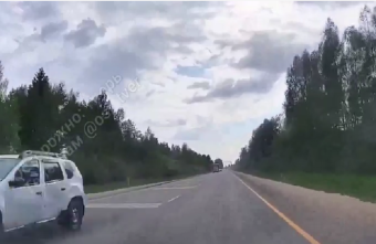 В Тверской области опубликовали видео внезапной встречи водителей с лосем лосем