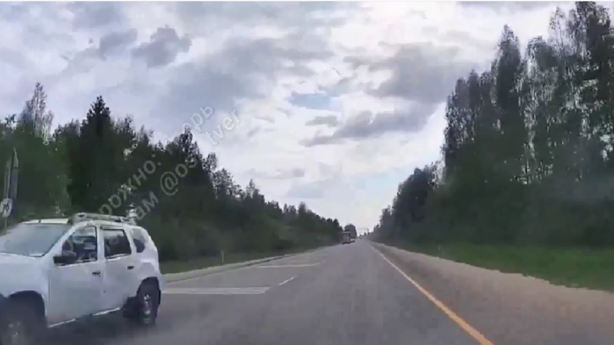 В Тверской области опубликовали видео внезапной встречи водителей с лосем лосем