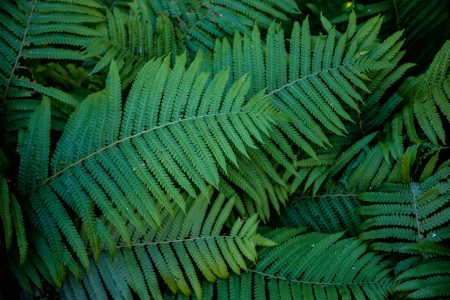 Крупный банк поможет создать систему поддержки особо охраняемых природных территорий