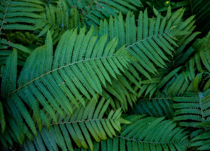 Крупный банк поможет создать систему поддержки особо охраняемых природных территорий