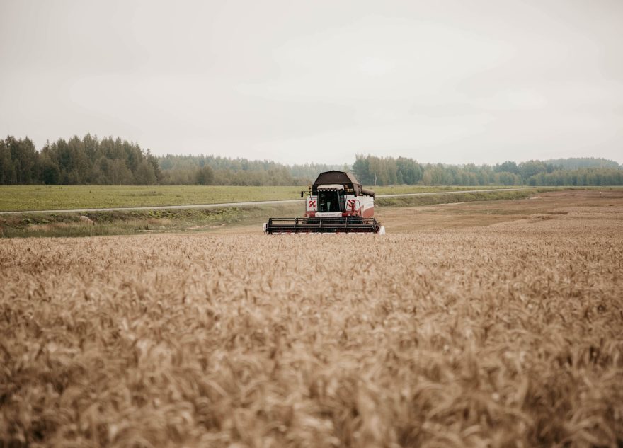 В школах Тверской области появится новый профиль обучения