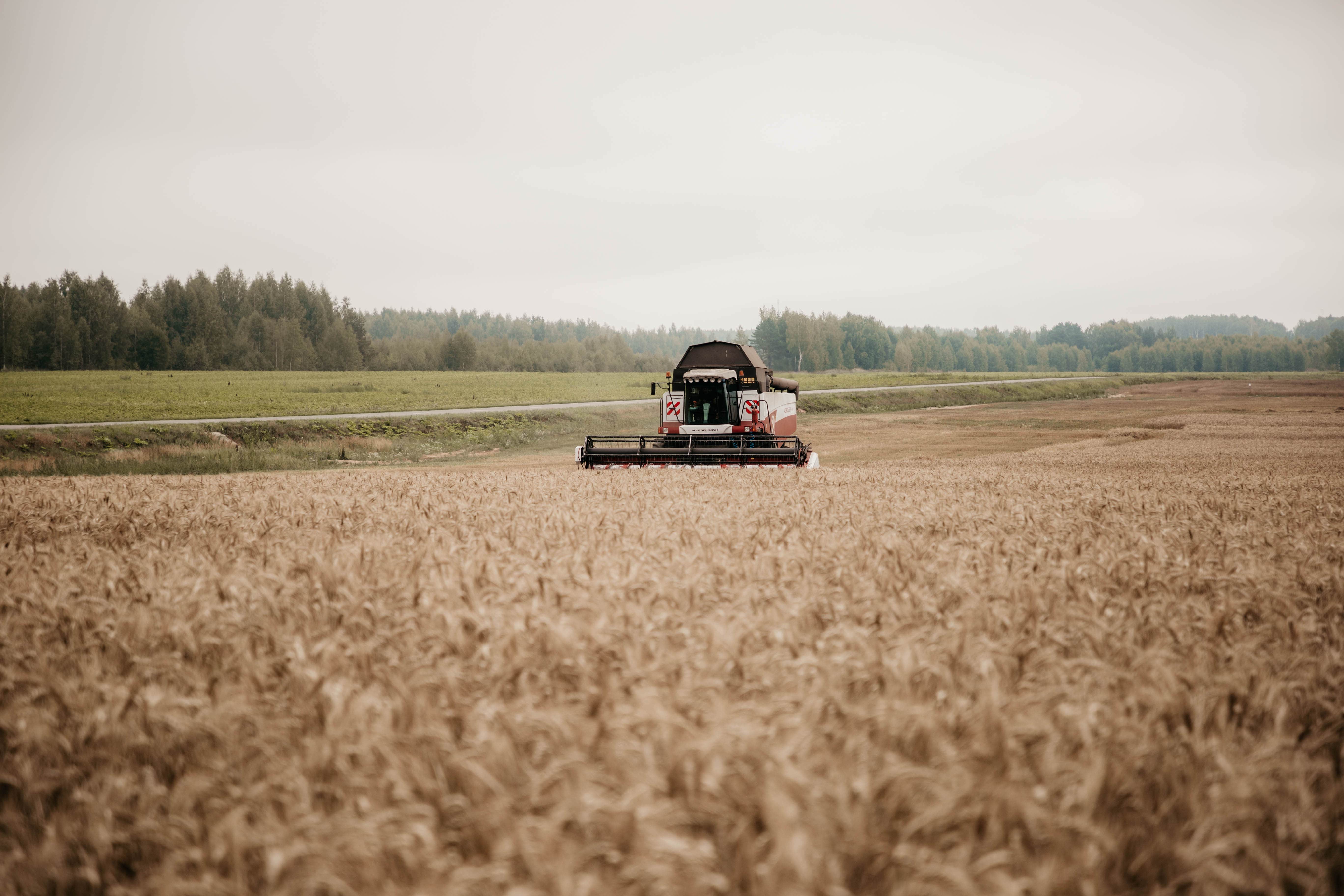 В школах Тверской области появится новый профиль обучения