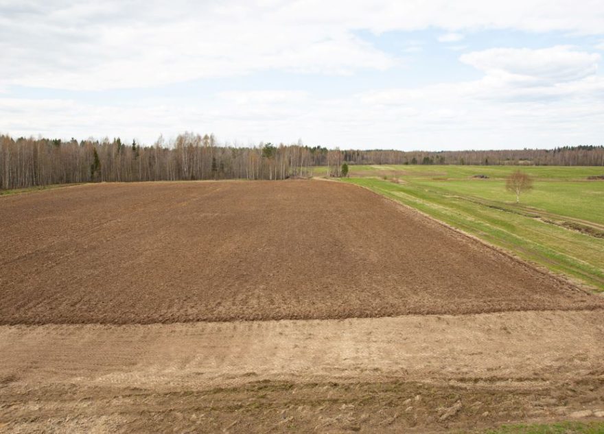 В рамках вовлечения земель в сельхозоборот специалисты филиала разрабатывают проекты культуртехнической мелиорации