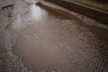 Жителей Тверской области предупредили о сильном ветре и грозе
