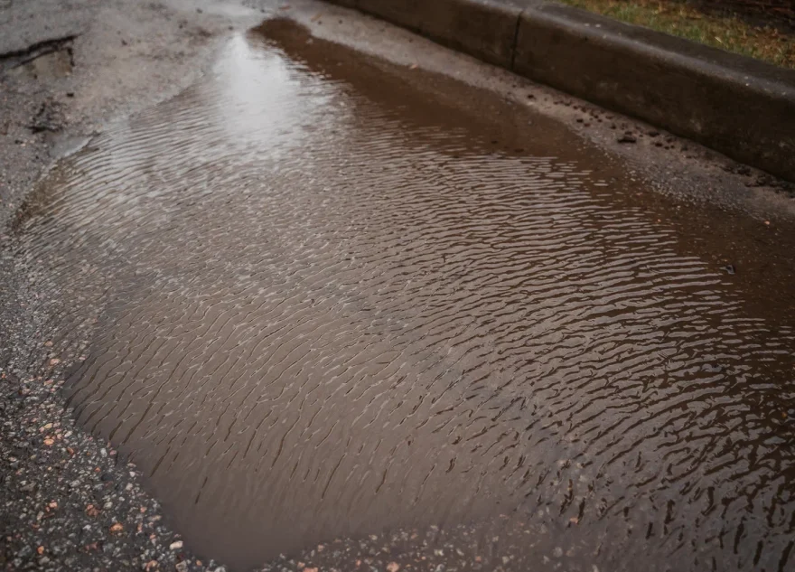 Жителей Тверской области предупредили о сильном ветре и грозе