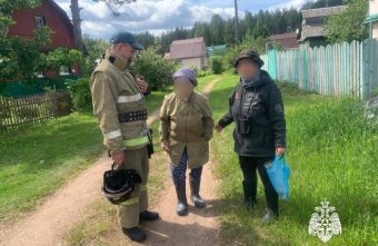 Спасатели Тверской области вывели из леса заблудившуюся женщину лесник