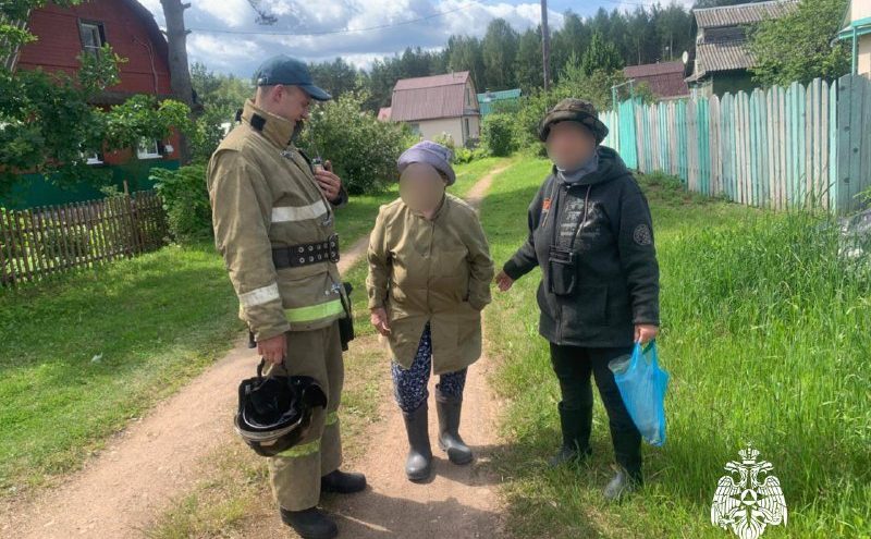 Спасатели Тверской области вывели из леса заблудившуюся женщину лесник