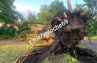 Ураган в Тверской области валил деревья и обрывал провода Ураган в Тверской области валил деревья и обрывал провода