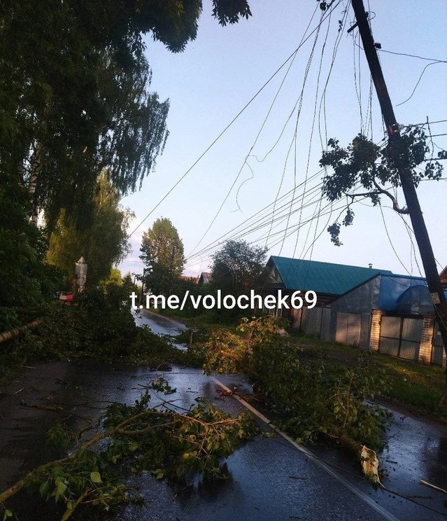 После урагана в Тверской области повалились деревья и провода