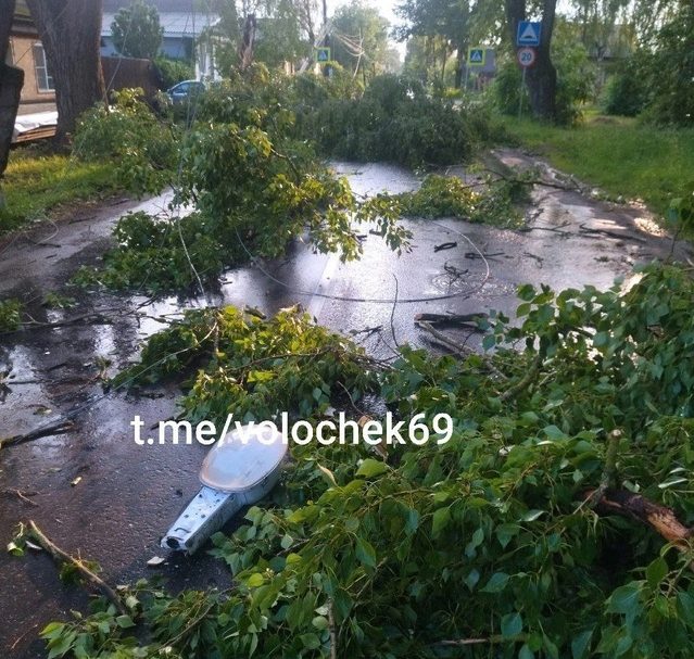 После урагана в Тверской области повалились деревья и провода