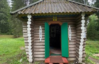 Место в Тверской области, которое окунает посетителей в сказку лес