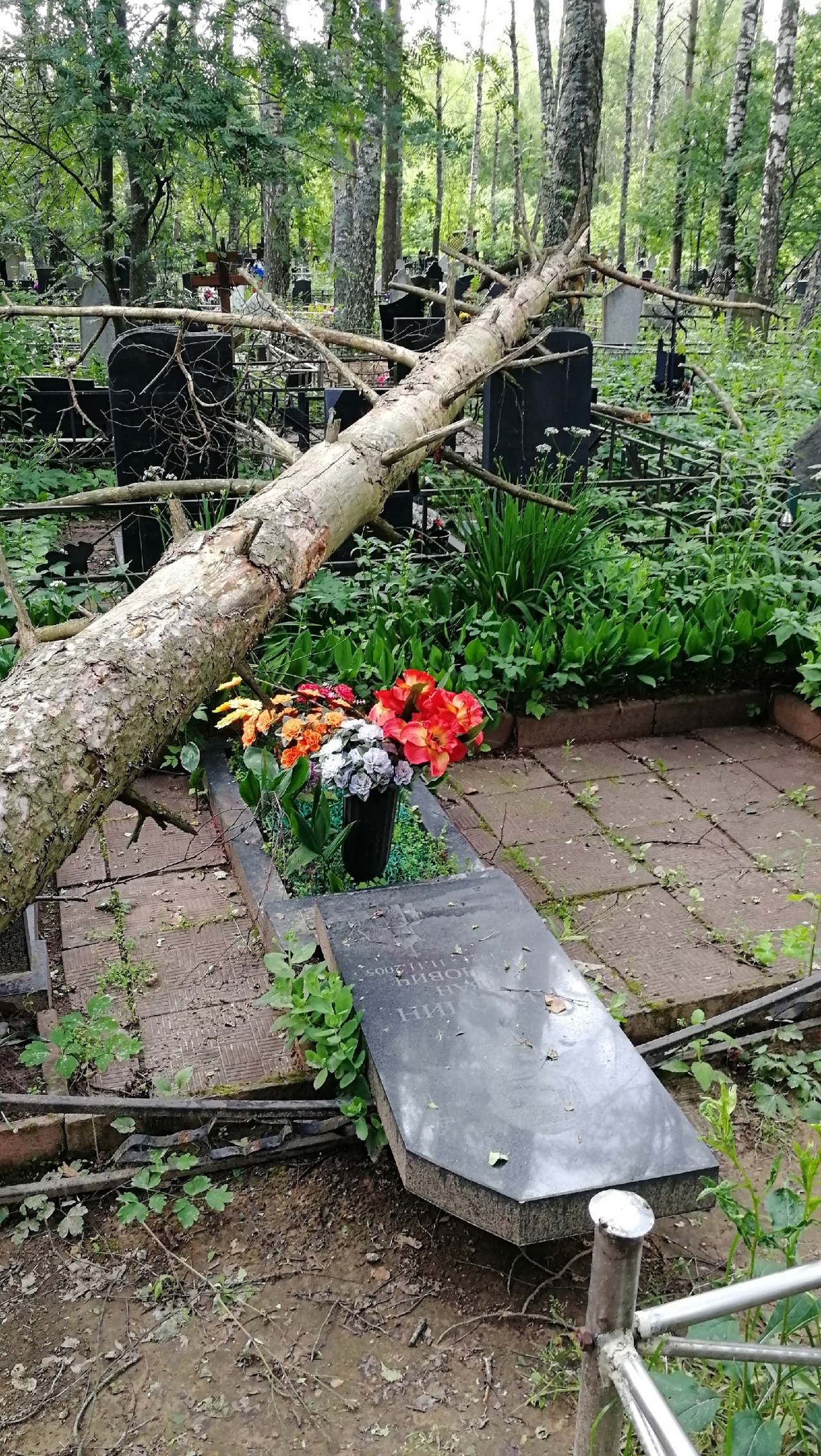 кладбище