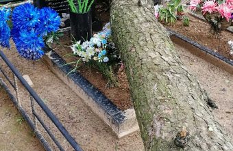 В Тверской области из-за непогоды на кладбище упали деревья и сбили памятники кладбище