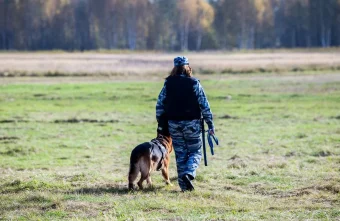 В Тверской области полицейские поймали браконьера В Тверской области полицейские поймали браконьера