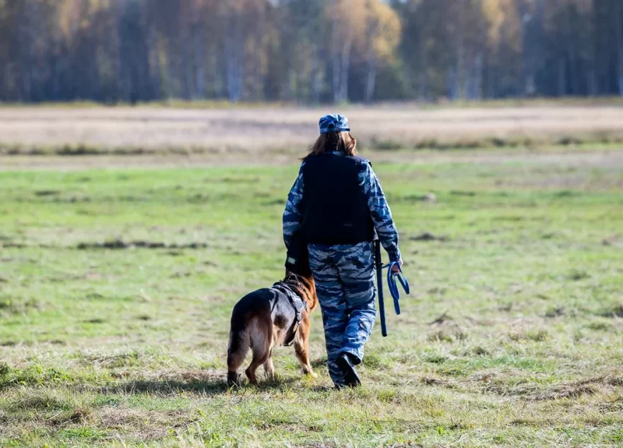 В Тверской области полицейские поймали браконьера