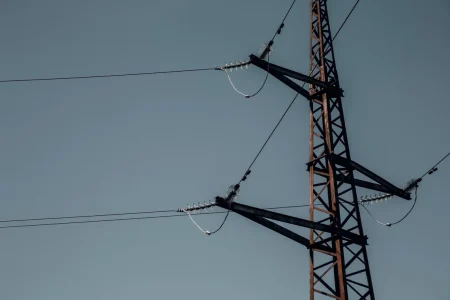 «Россети Центр» обеспечили безопасность птицам на линиях электропередач в Тверской области провод