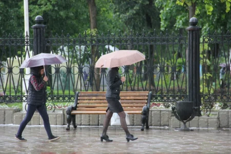 Синоптики рассказали, какой погоды ждать в августе жителям Тверской области августе