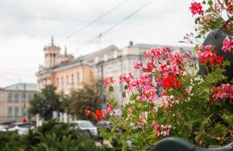 Метеоролог рассказал о грядущем потеплении в Тверской области погода