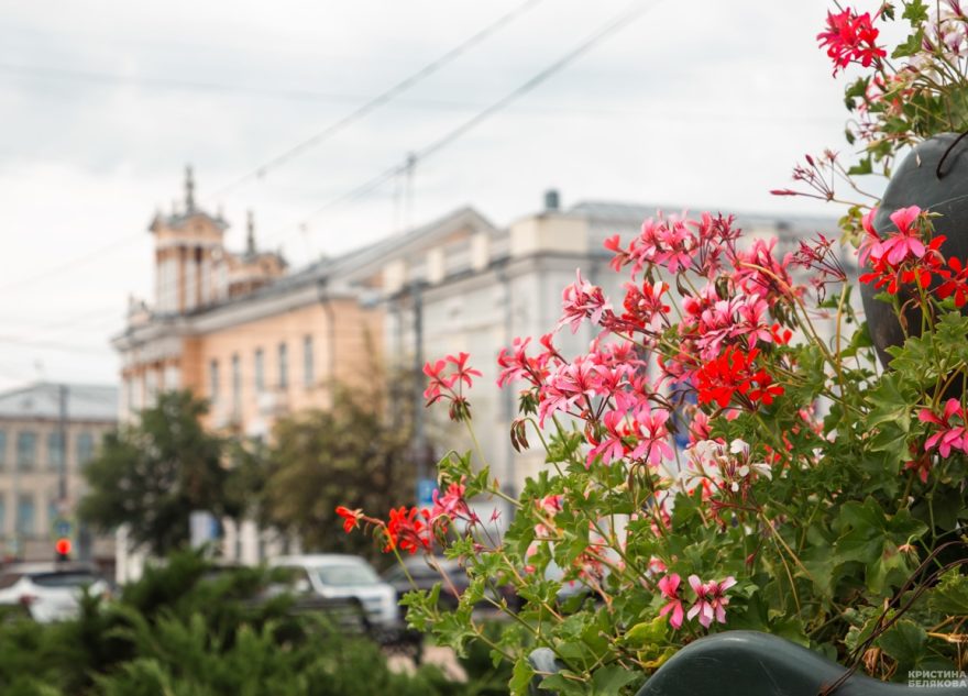 Метеоролог рассказал о грядущем потеплении в Тверской области погода