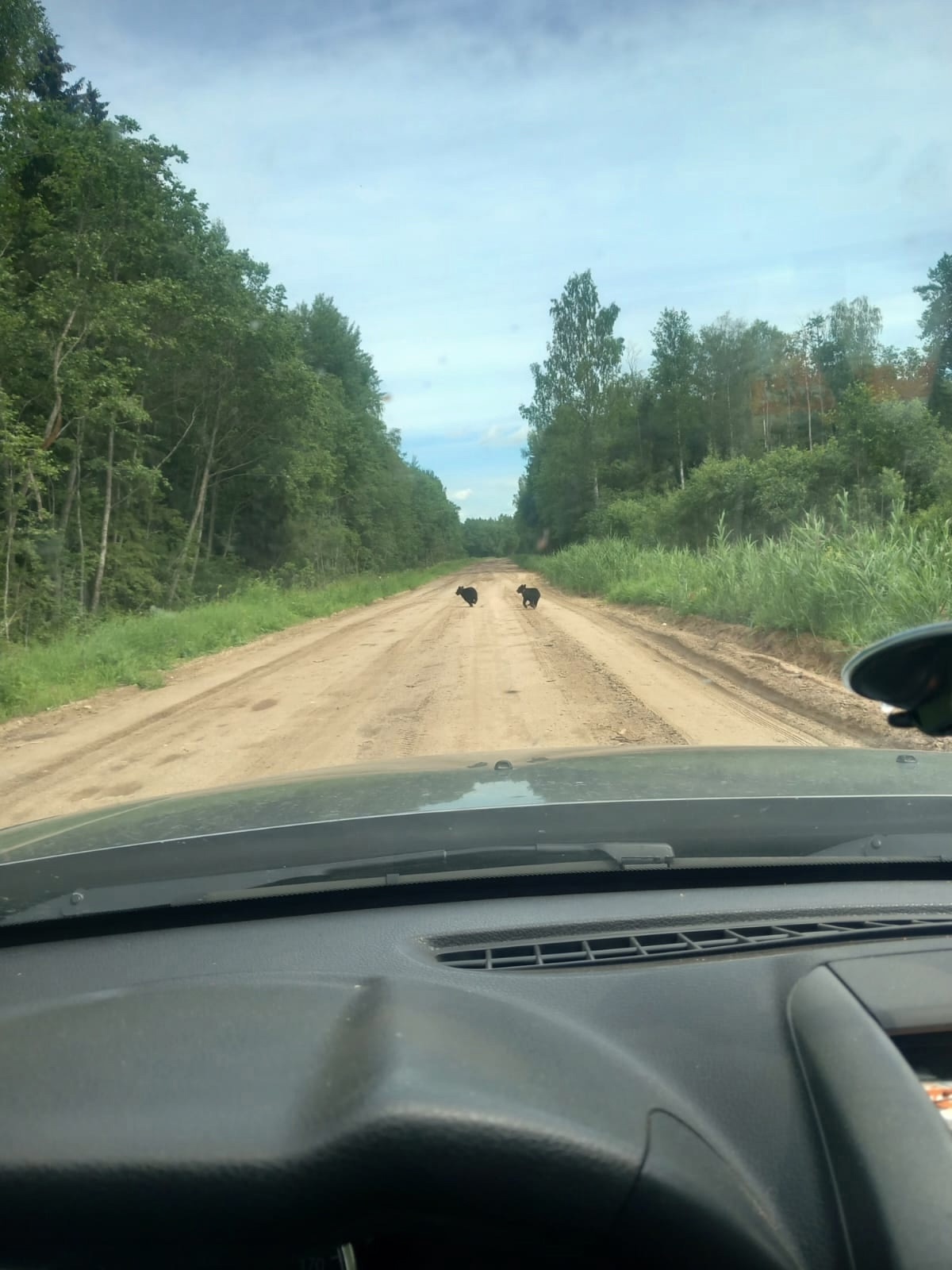 Зоопарк сам пришел в деревни Тверской области