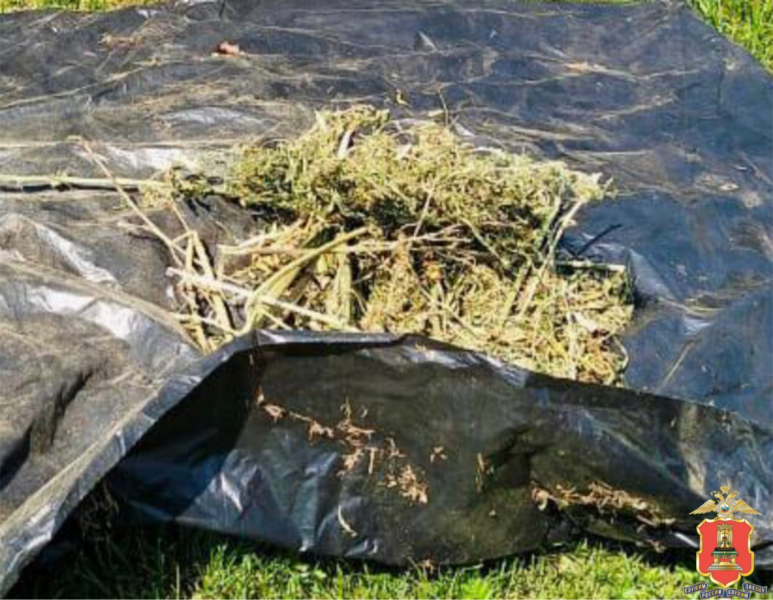 В доме у жителя Тверской области нашли банку с марихуаной