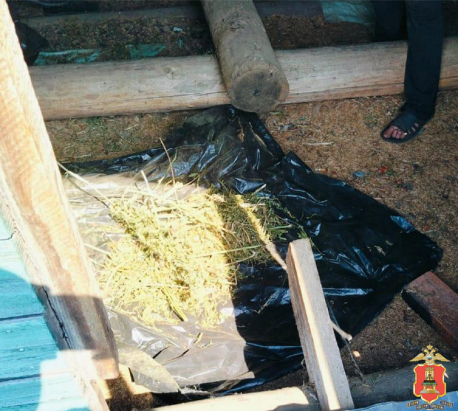 В доме у жителя Тверской области нашли банку с марихуаной