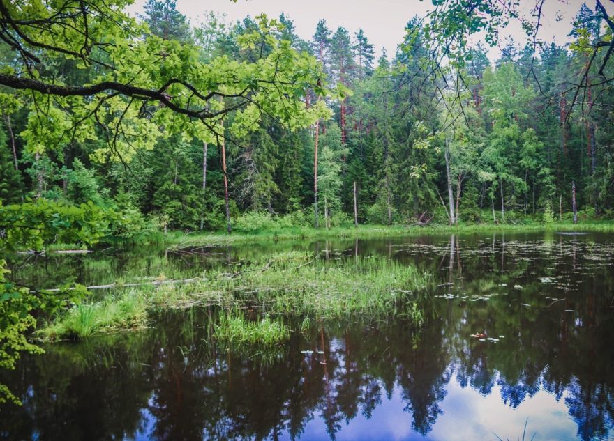 В Тверской области охраняют порядка 1000 природных объектов