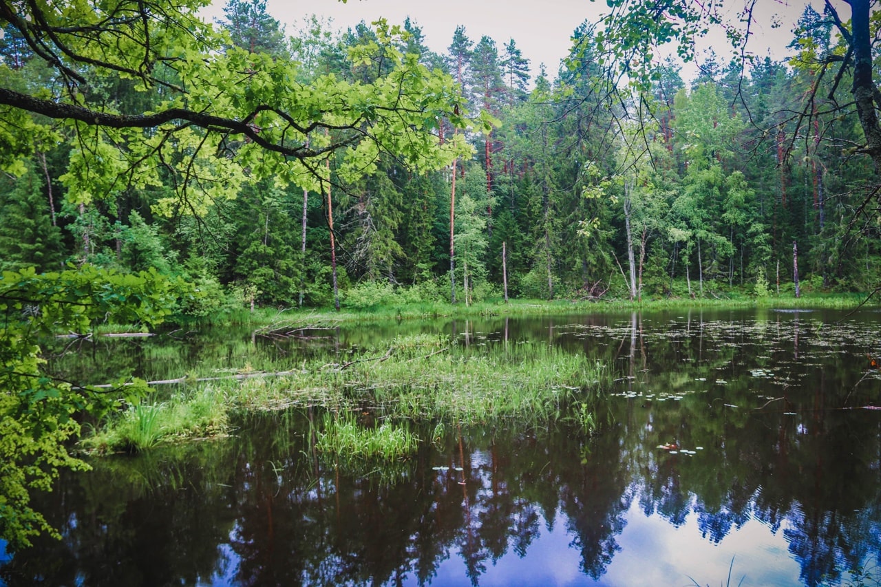 В Тверской области охраняют порядка 1000 природных объектов