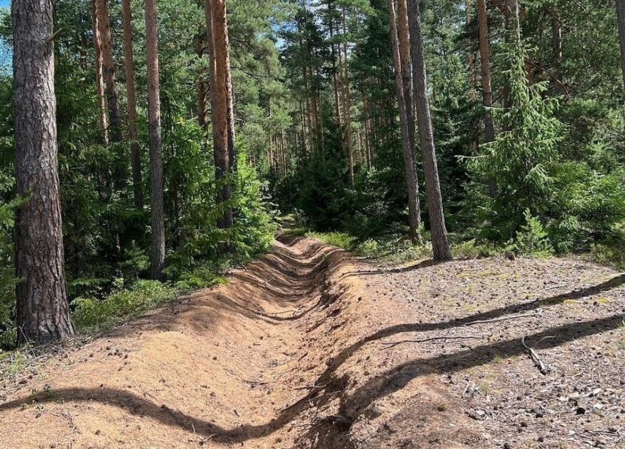 В лесах Тверской области строят дороги и ставят шлагбаумы