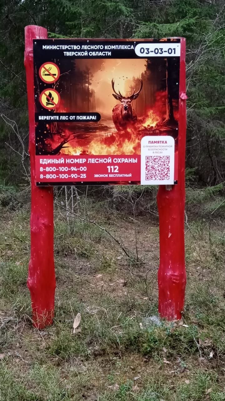 В лесах Тверской области строят дороги и ставят шлагбаумы